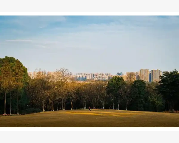 舒适健康的脾胃按摩：疗愈内外，享受养生之旅！