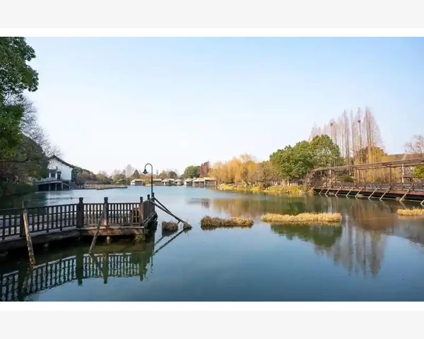 泡萝卜可以止咳化痰吗